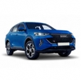 Haval Shenshou 2021–н.в.